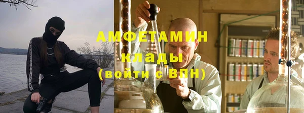 ПСИЛОЦИБИНОВЫЕ ГРИБЫ Заволжье