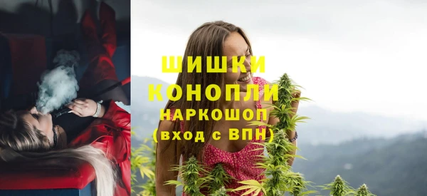 ПСИЛОЦИБИНОВЫЕ ГРИБЫ Заволжье