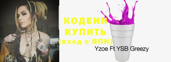 ПСИЛОЦИБИНОВЫЕ ГРИБЫ Заволжье