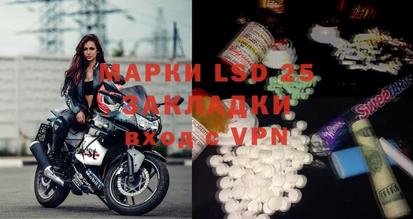 ПСИЛОЦИБИНОВЫЕ ГРИБЫ Заволжье