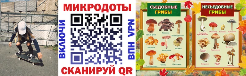 Псилоцибиновые грибы MAGIC MUSHROOMS  Павловская 